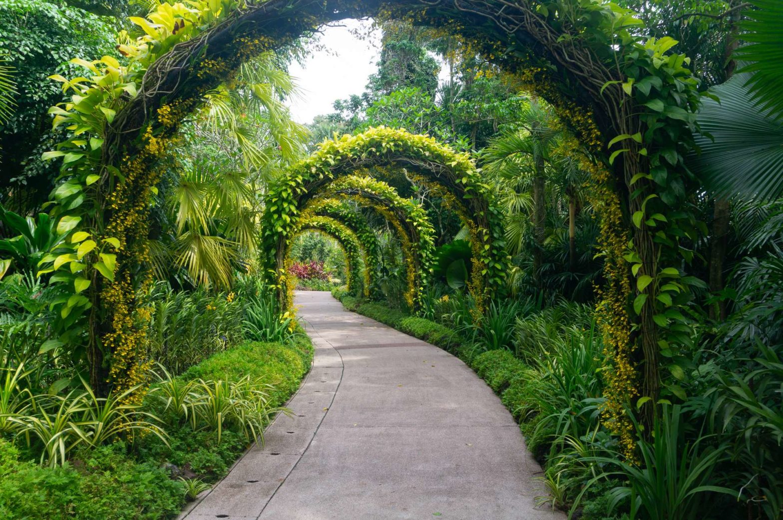 botanic gardens singapore